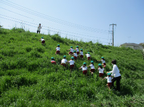 土手をお散歩